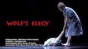Hilde Holger school of contenporary dance DVD Jacket