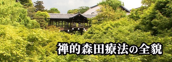 森田療法ビデオ全集について_jpg